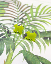 Load image into Gallery viewer, Verdant Claudia Texas Stud Earrings