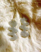 Load image into Gallery viewer, Silver Dakota Earrings