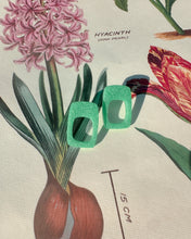 Load image into Gallery viewer, Spring Fling Sandra Earrings