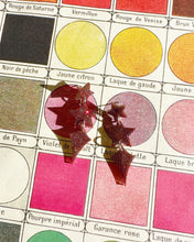 Load image into Gallery viewer, Fete Ellyn Earrings