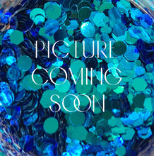 Load image into Gallery viewer, Parti Hair Clips